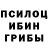 Псилоцибиновые грибы Psilocybe umair79