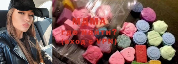 spice Инта