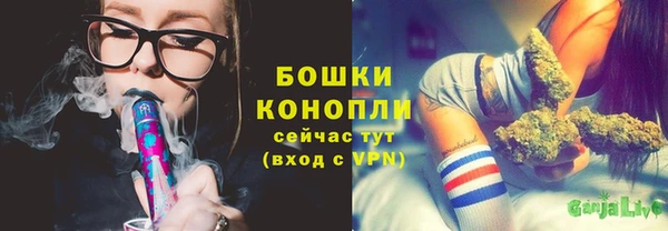 spice Инта