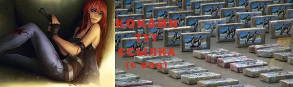 амф Инсар