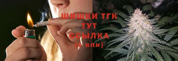 spice Инта