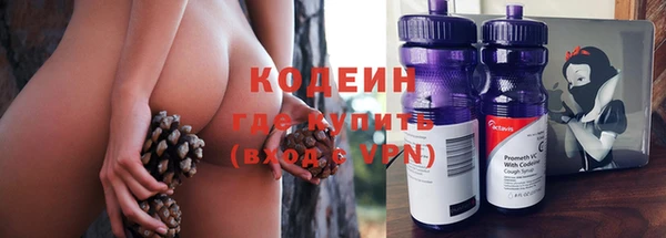амф Инсар