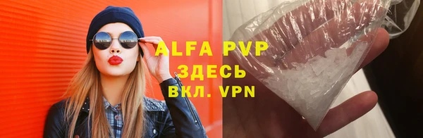 spice Инта