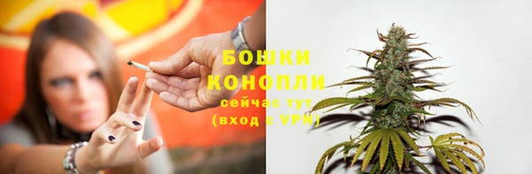 амф Инсар