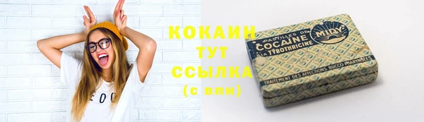 spice Инта