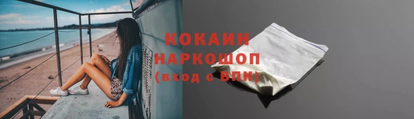 spice Инта