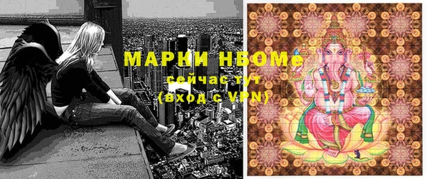 spice Инта