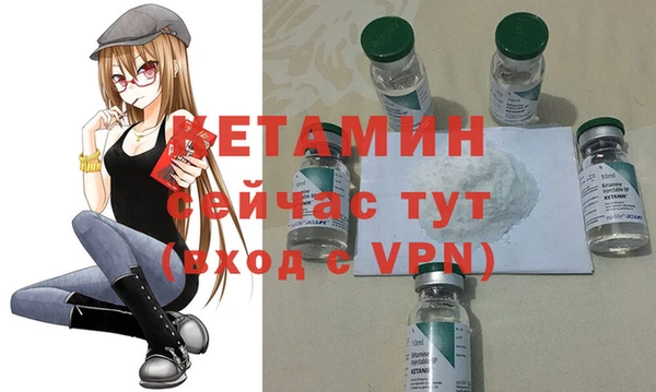 spice Инта