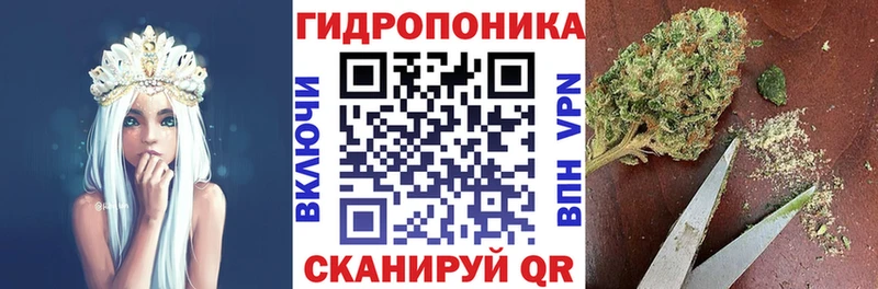 Шишки марихуана MAZAR  Купить закладки  Верхняя Салда 